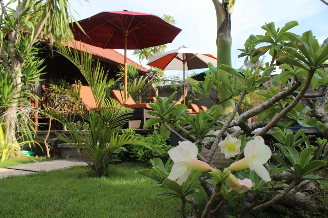 Pattri Garden Lembongan Gasthuis